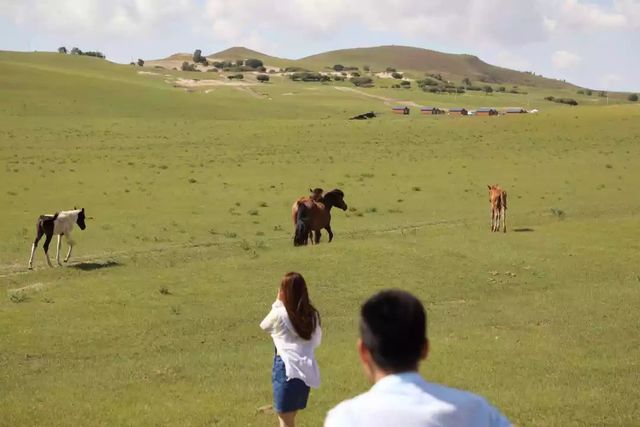 乾港集團高層草原自駕游